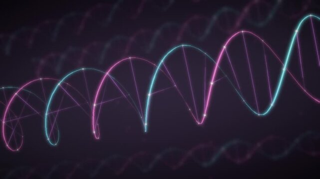 Rotating DNA Double Helix with Glowing Strands and Base Pairs seamless loop in soft magenta tones