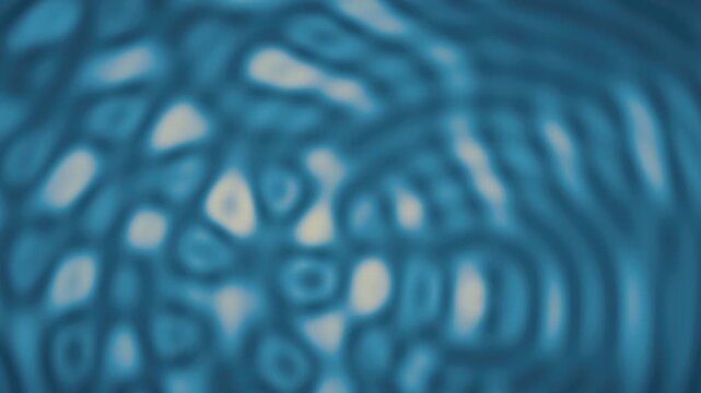 Abstract wave interference moire fringe ripple background seamless loop in calm blue tones