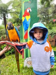A young child in a blue hoodie meets a blue-and-yellow macaw parrot perched on a gloved hand at a park, capturing curiosity, bright color, and a gentle outdoor animal encounter. © Haffid
