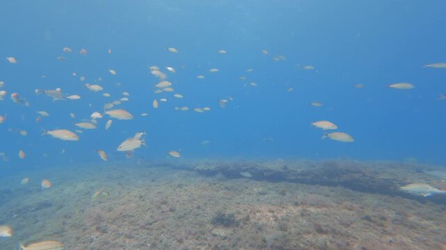 underwater