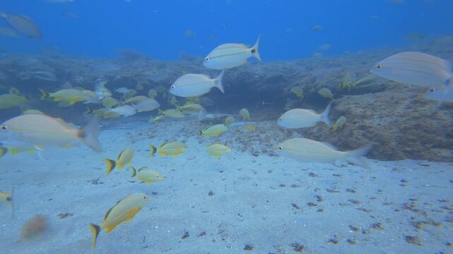 underwater