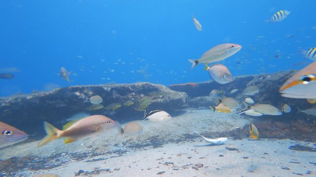 underwater