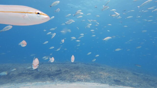 underwater