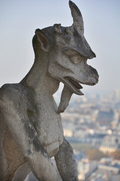  Gargoyles Notre Dame cathedral of Paris one of the most famous landmarks in France. The famous stone statues of Notre Dame Cathedral in Paris France