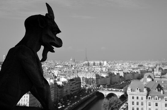  Gargoyles Notre Dame cathedral of Paris one of the most famous landmarks in France. The famous stone statues of Notre Dame Cathedral in Paris France