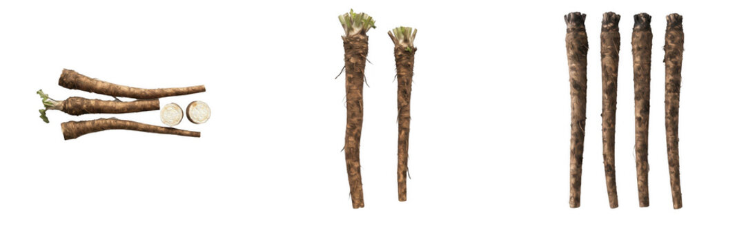 Set of fresh horseradish roots isolated on white background organic vegetables healthy food raw nutrition agriculture harvest fresh produce garden roots culinary ingredient food photography market ite