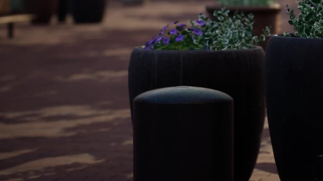 People sit and chat near large planters filled with flowers in a park. Sunlight shines down on the brick walkway. The atmosphere feels lively as the season changes.