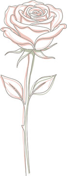 Elegant line art rose vector illustration, delicate pink rosebud with stem and leaves, minimalist floral design for wedding invitations and greeting cards