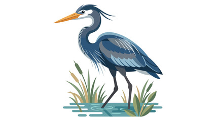 Obraz premium Blue heron standing in water with reeds