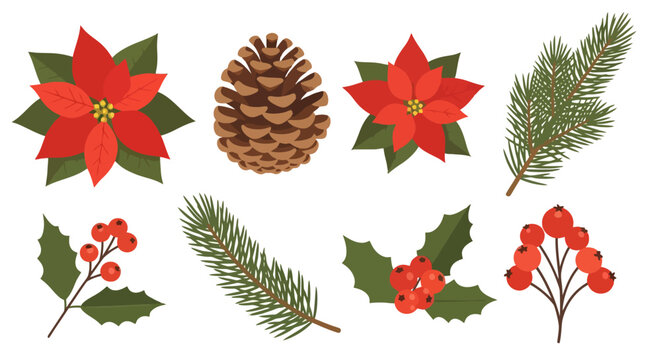 Christmas floral elements set with red poinsettia, holly berries, pine cone, and fir branch isolated on white background