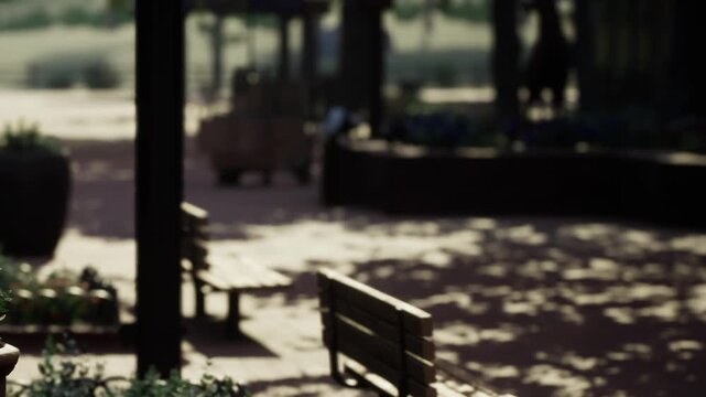 Several benches sit in a park area surrounded by flower pots. The sunlight shines down on the pathways, creating a lively scene. A playground structure is in the background.
