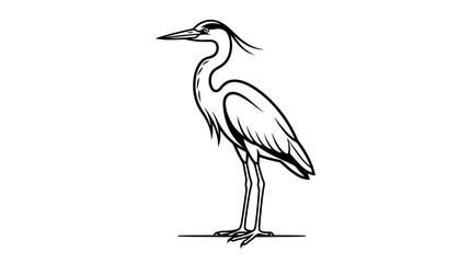 Obraz premium Elegant bird silhouette standing still