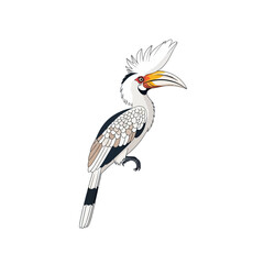 Obraz premium White-crowned Hornbill Vector Illustration Isolated on White