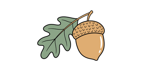Acorn with oak leaf vector illustration © Png World Collection