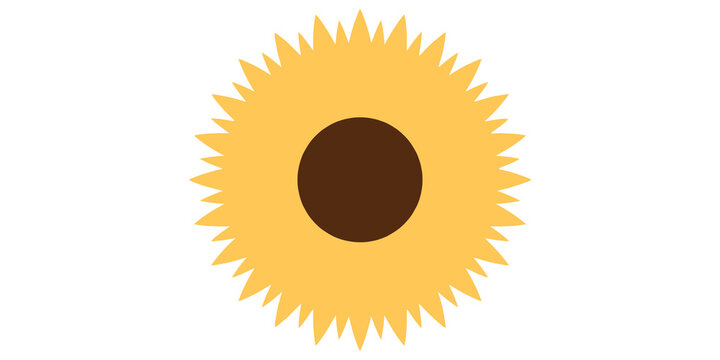 Simple sunflower vector illustration isolated on white background