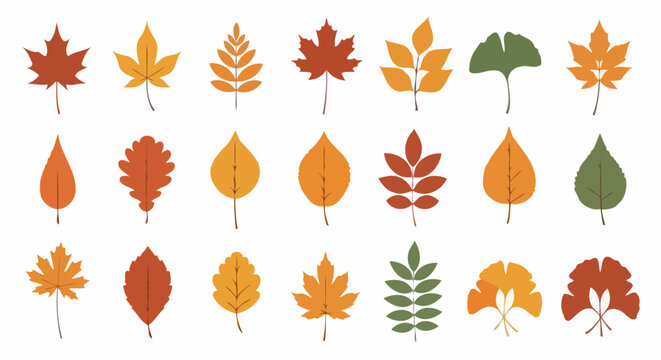 Set of colorful autumn leaves icons including maple and oak foliage isolated on white background for fall seasonal decor
