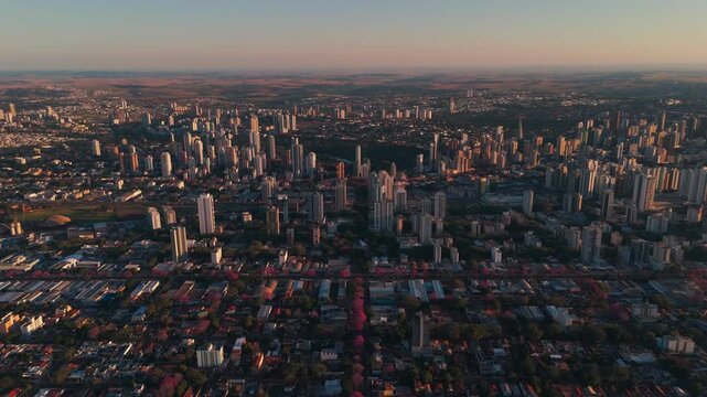 Maring&aacute; sob a luz do entardecer e seus ip&ecirc;s floridos.