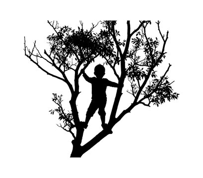 Silhouette of a young child climbing a large tree with branches isolated on transparent background, Vector
