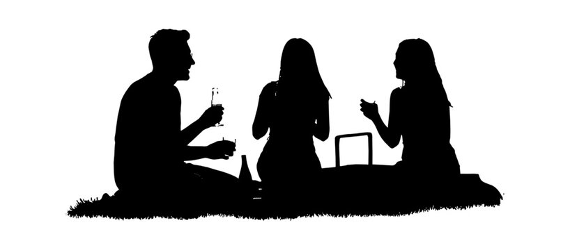 Black silhouette of a group of friends having a picnic and drinking wine on the grass isolated on transparent background, Vector