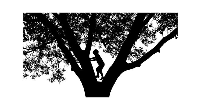 Silhouette of a young child climbing a big tree isolated on transparent background, Vector