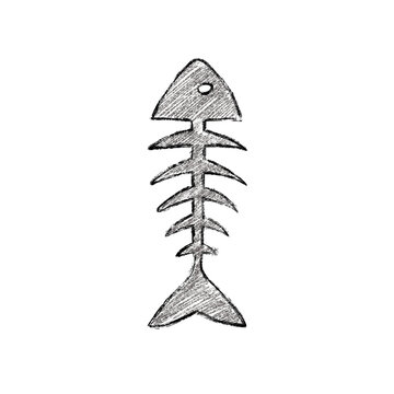 fish bone