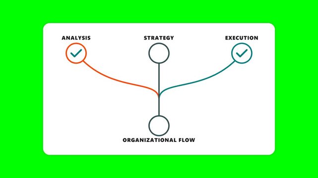 Organizational flow diagram with analysis strategy and execution stages.