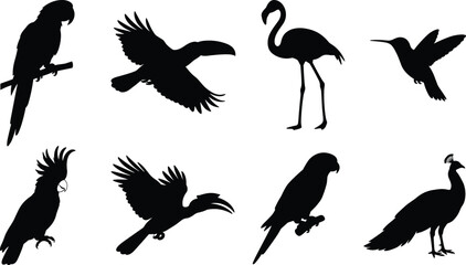 Collection of exotic tropical bird silhouettes including macaw, flamingo, toucan, and peacock on white background. © Mst