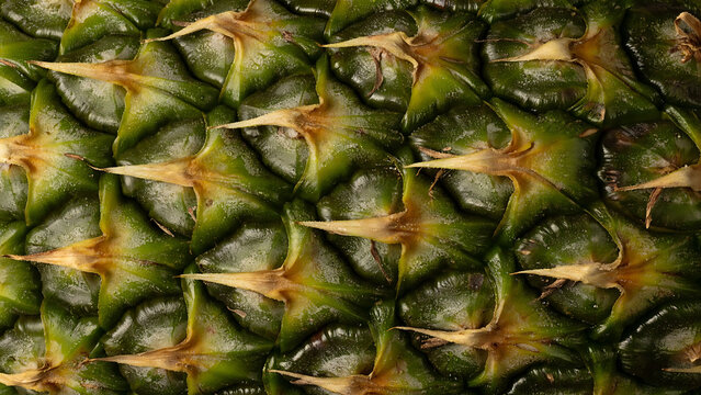 Close up of pineapple skin texture. Macro shot of fresh tropical fruit peel pattern.