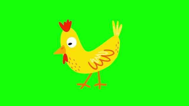 4K motion graphics transition animation of rooster on chroma key green screen background.