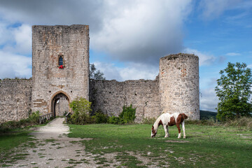 A brown and white horse in front of the Cathar castle at Puivert in France © sissoupitch