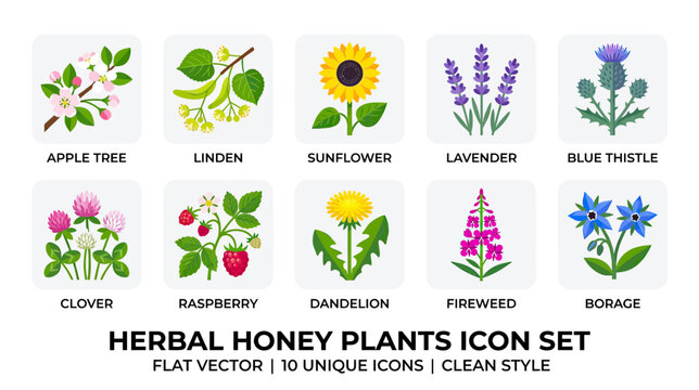 Herbal Honey Plants Icon Set Flat Vector
