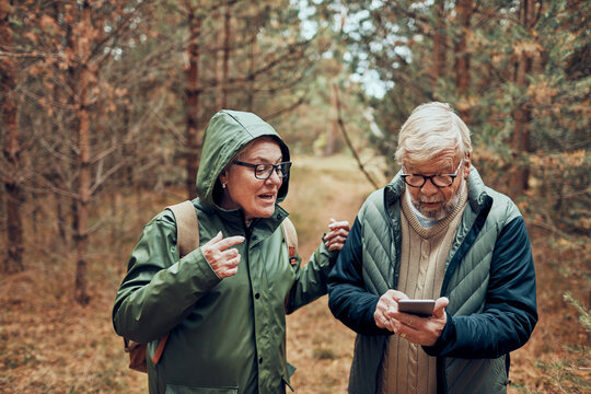 Senior couple using smartphone for navigation on forest trail