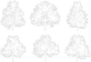 Six detailed coniferous tree line art illustrations isolated on transparent background for landscape architecture © NT VIDEO
