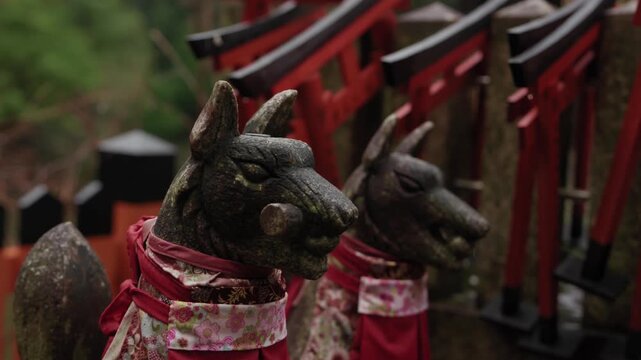 Weathered kitsune fox statues in red bibs before torii gates in Japan