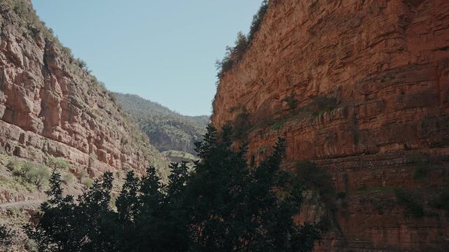 Layered red canyon walls rising above juniper trees in a narrow Morocco gorge