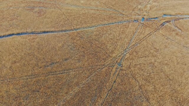 Natural marsh textures create an abstract landscape shaped by water seasonal ecology below