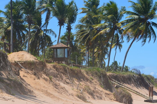 praia do forte - bahia