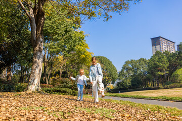 Obraz premium siblings walking through fallen leaves in a sunny park