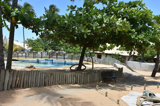 praia do forte - bahia