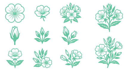 Fototapeta premium Floral Elements Collection, Botanical Illustration Icons