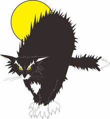 Angry cat with fierce facial expression in vector style.  © Anom Noman