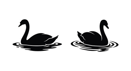 Two black swan silhouettes swimming on water with concentric ripple circles a minimalist design silhouette swans birds waterfowl © Sumon