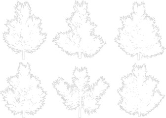 Set of six coniferous tree sketches isolated on transparent background for evergreen landscape design graphics © NT VIDEO
