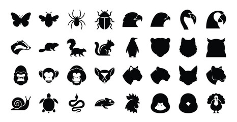 Fototapeta premium Assorted animal and insect silhouette icons with silhouette wildlife collection illustration environment