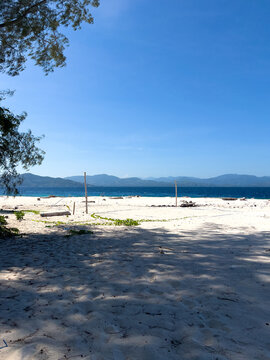 Tropical Beach With White Sand and Clear Blue Sky