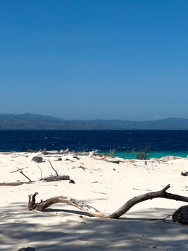 Driftwood on Sandy Beach with Ocean View