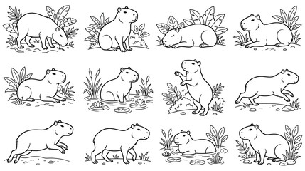 Obraz premium Set of capybara characters in different poses for animal coloring pages.