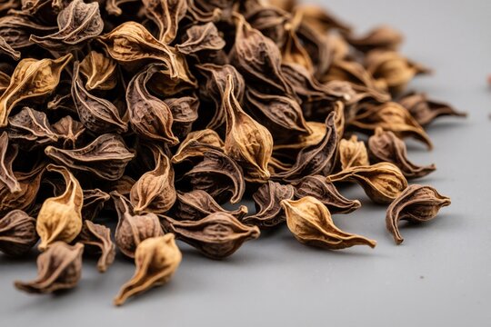 Macro close up view of dried devils claw fruit pods on grey surface. Natural herbal medicine for organic health care, alternative treatment. Brown textured medicinal plant parts used for dietary