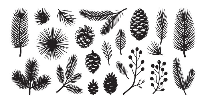 Set of black silhouette christmas tree branches, pine cones and berries. hand drawn vector.