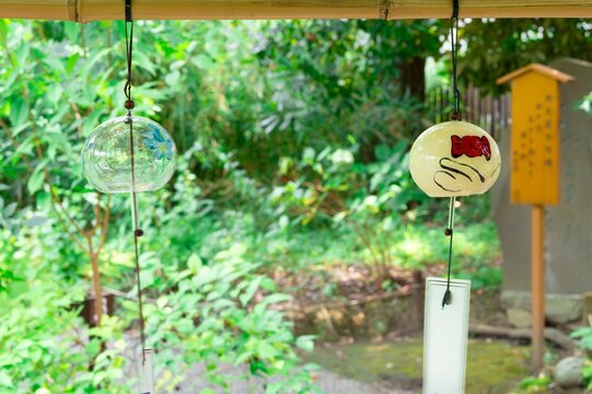 Japanese traditional glass wind chimes hanging in a lush green garden in summer